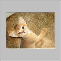 06 Drie en vier weken.jpg